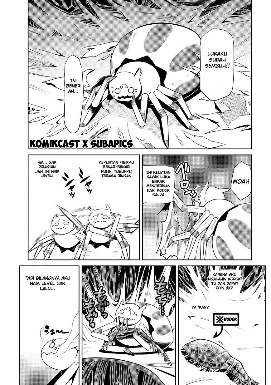 Kumo desu ga, Nani Ka?